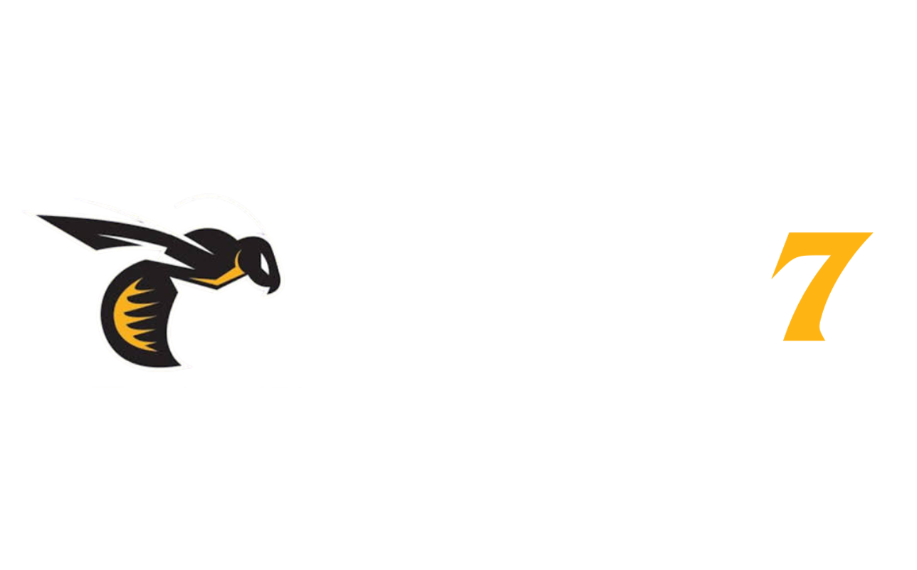 wasp7.net